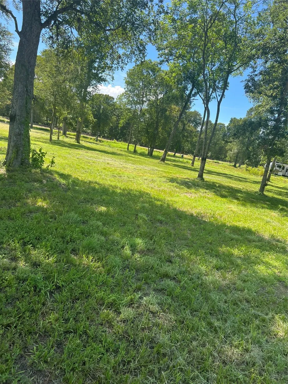 15425 Tierra Grande Drive Needville, TX 77461