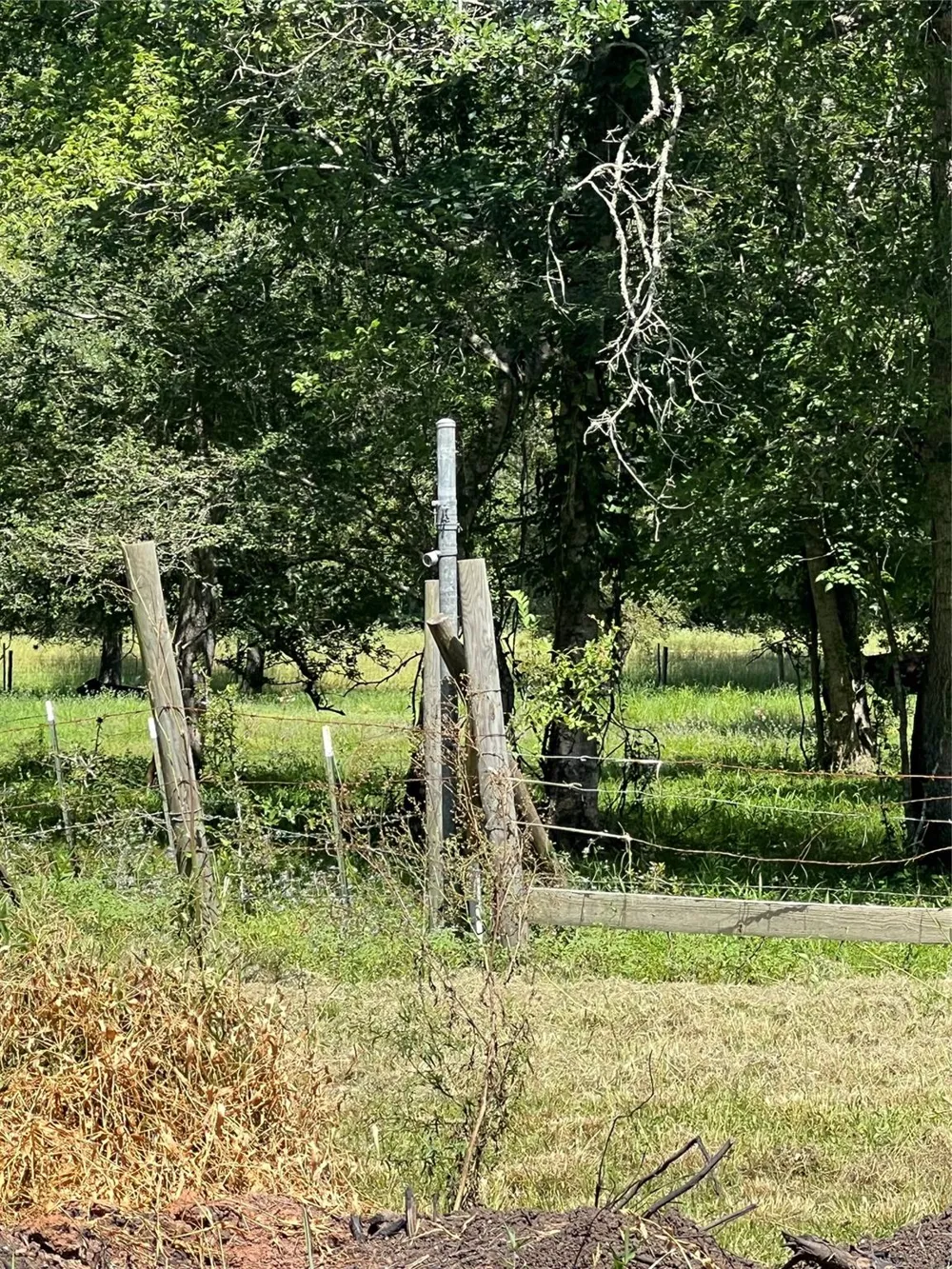 15425 Tierra Grande Drive Needville, TX 77461