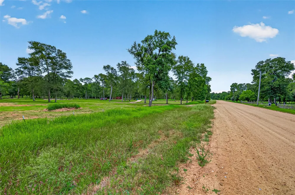 15425 Tierra Grande Drive Needville, TX 77461
