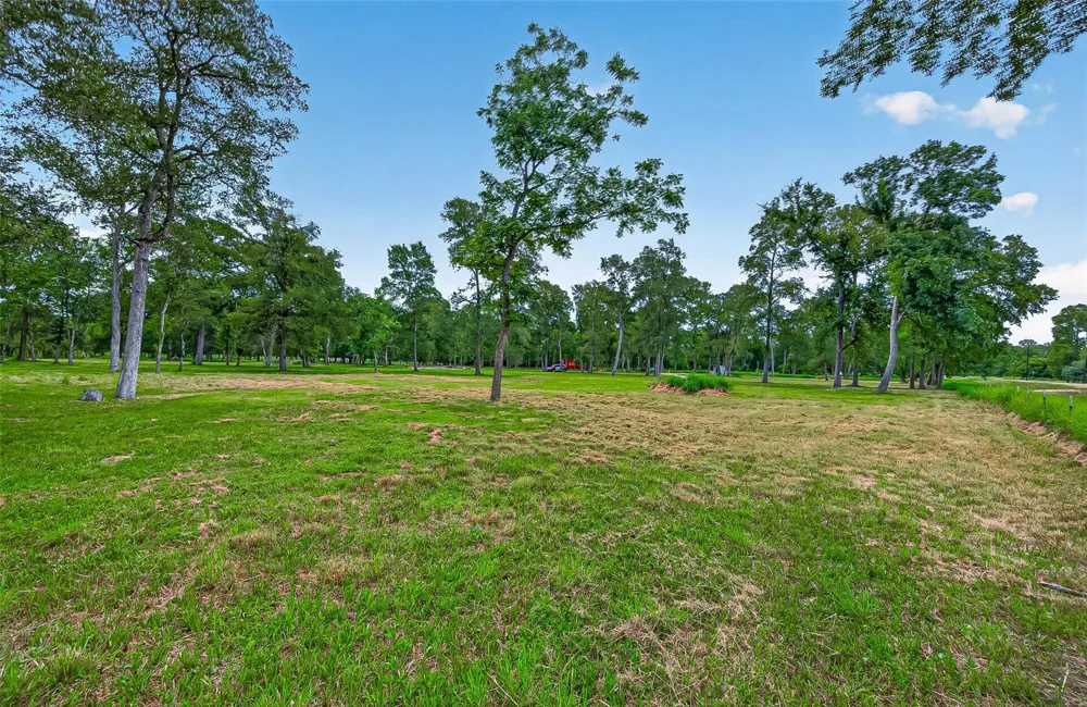 15425 Tierra Grande Drive Needville, TX 77461