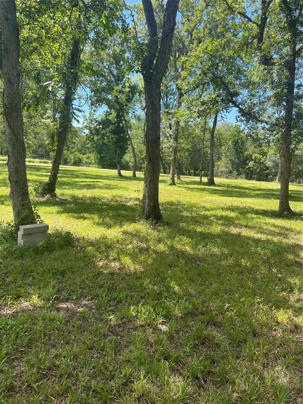 15425 Tierra Grande Drive Needville, TX 77461