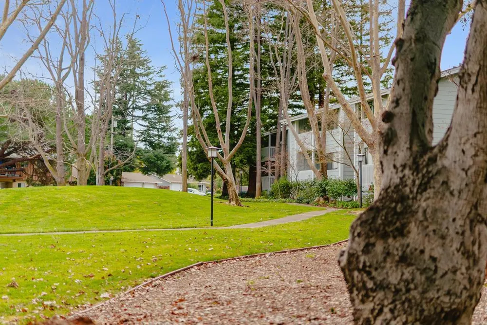938 Clark Avenue #50 Mountain View, CA 94040