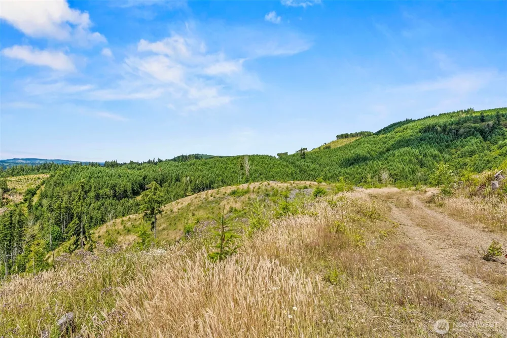 0 Lot A Holcomb Road Kelso, WA 98626
