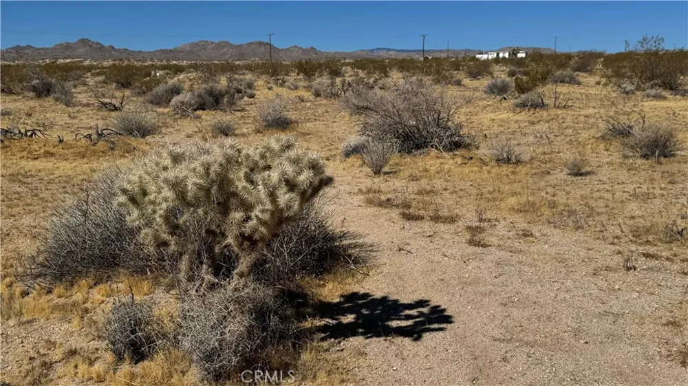 Bodick Road Johnson Valley, CA 92285