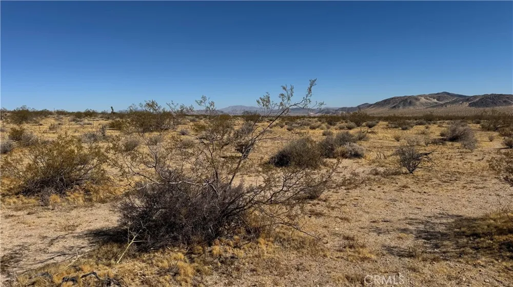 Bodick Road Johnson Valley, CA 92285