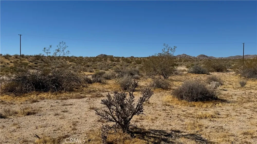 Bodick Road Johnson Valley, CA 92285
