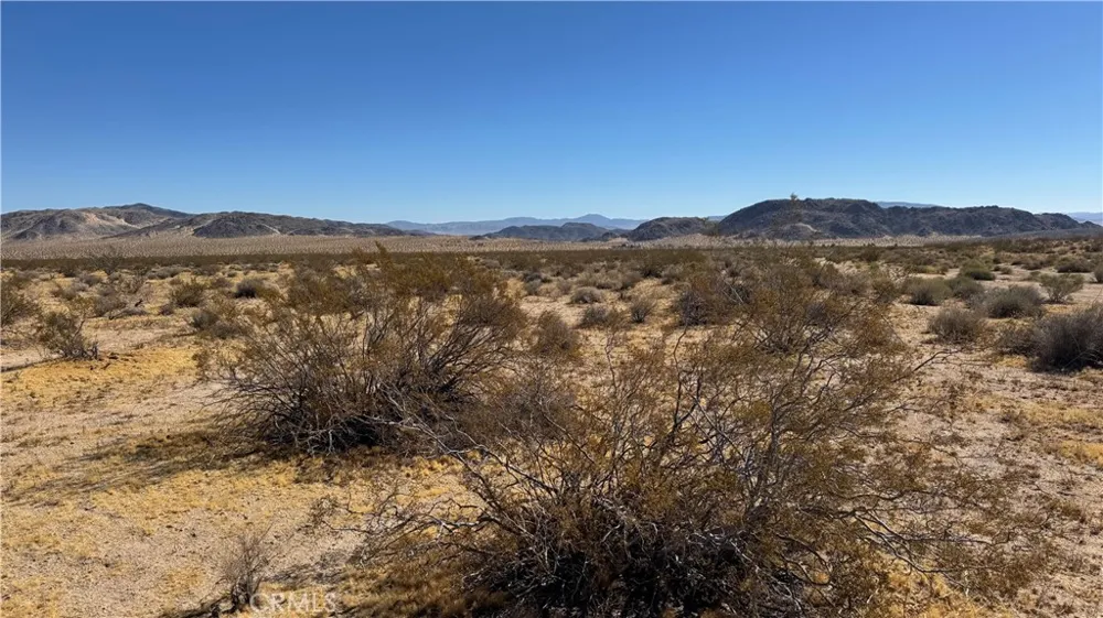 Bodick Road Johnson Valley, CA 92285