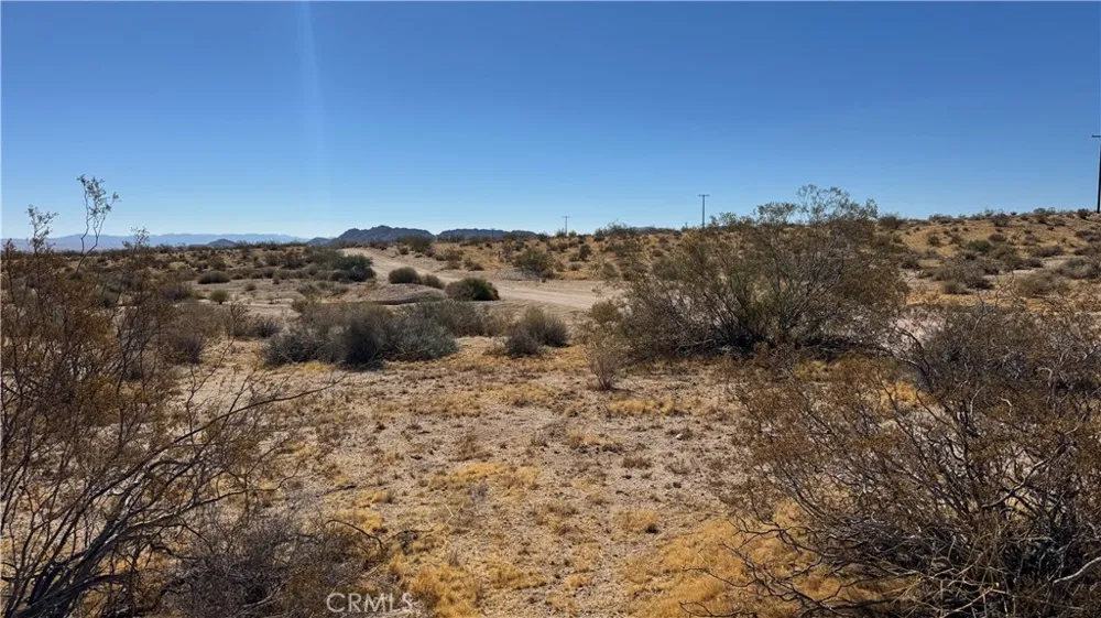 Bodick Road Johnson Valley, CA 92285