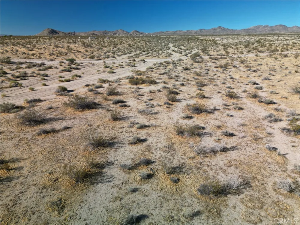 Bodick Road Johnson Valley, CA 92285