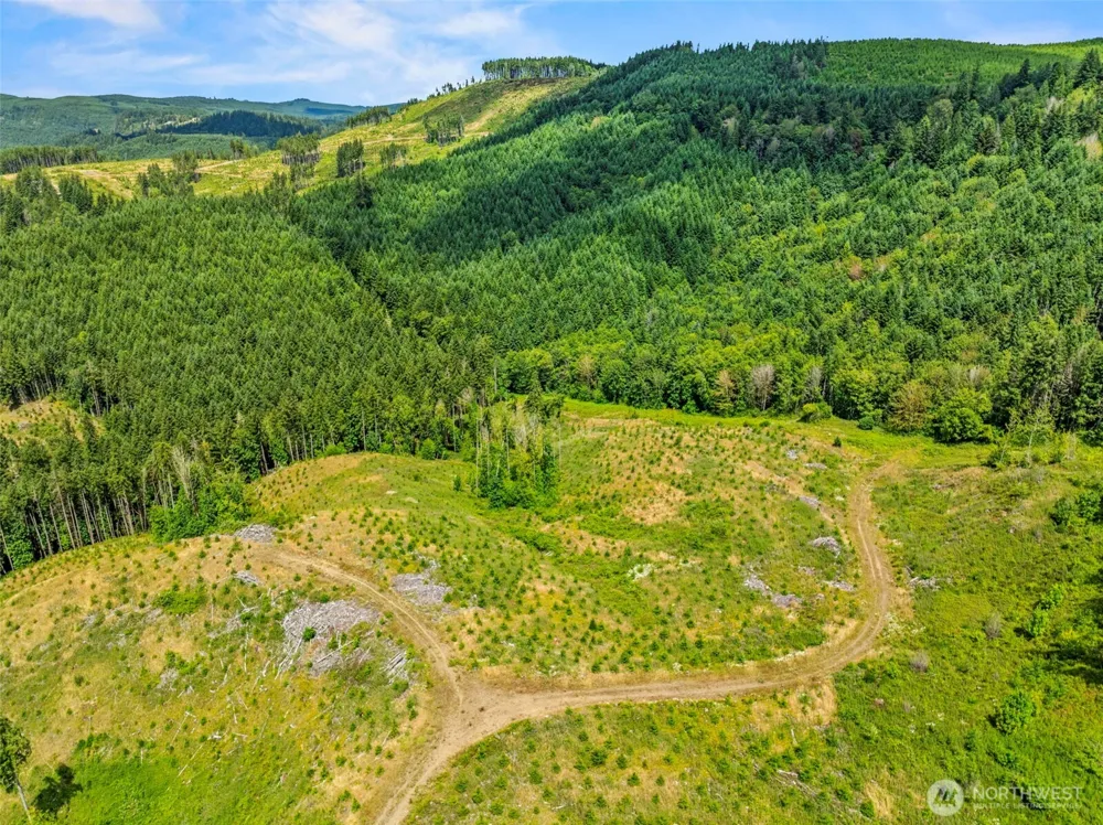 0 Lot E Holcomb Road Kelso, WA 98626