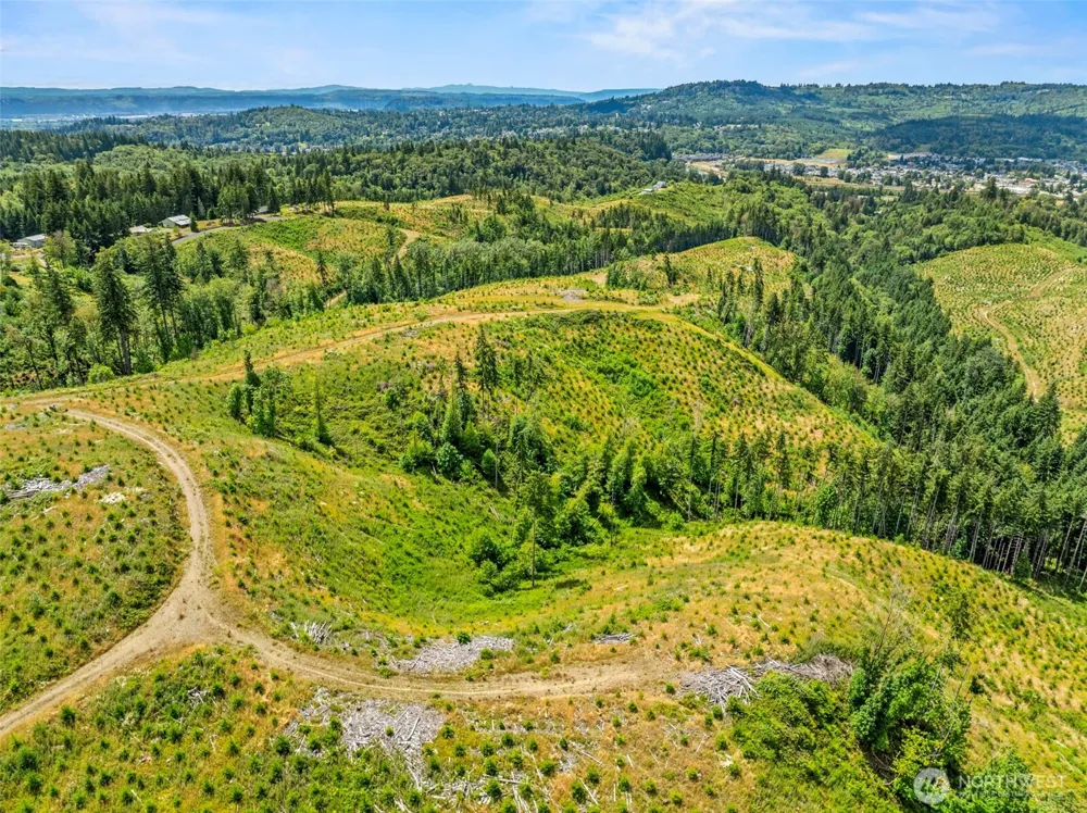 0 Lot E Holcomb Road Kelso, WA 98626