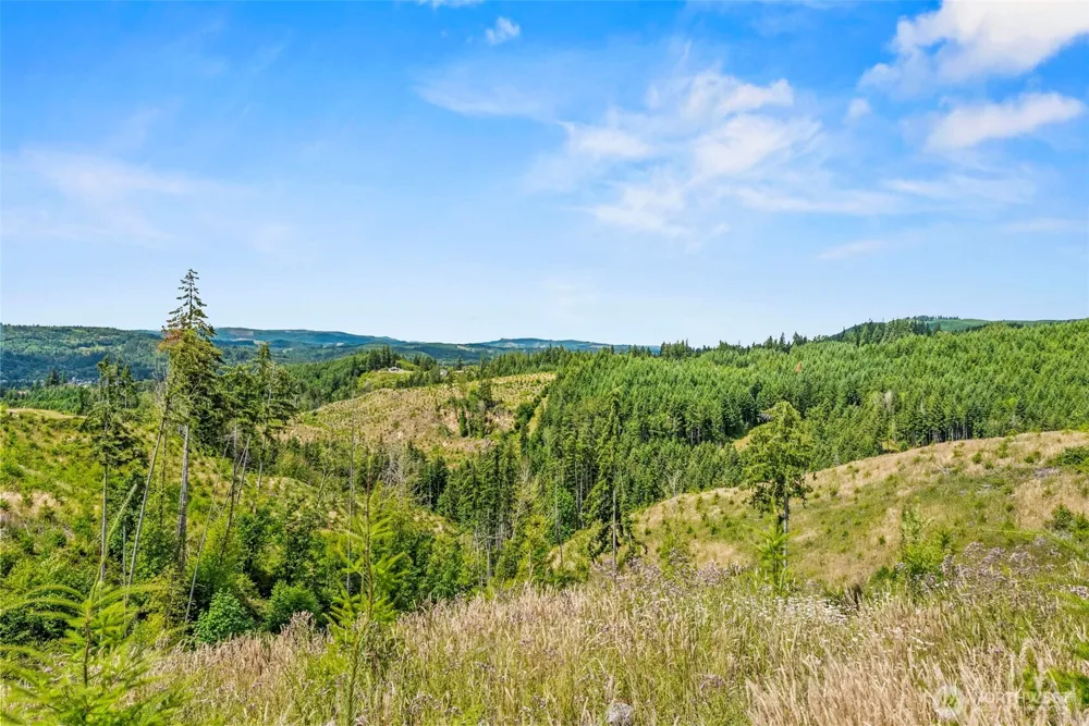 0 Lot E Holcomb Road Kelso, WA 98626