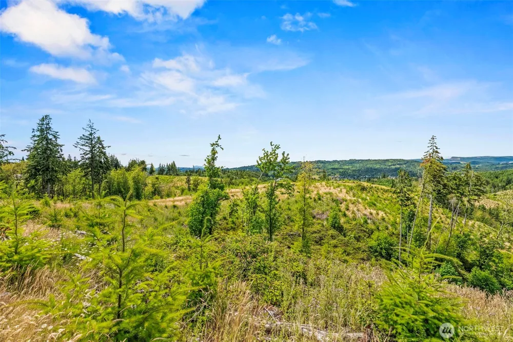 0 Lot E Holcomb Road Kelso, WA 98626