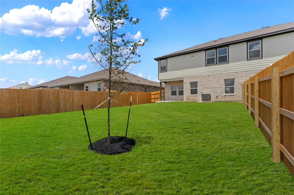 15109 Afleet Alex Street Manor, TX 78653