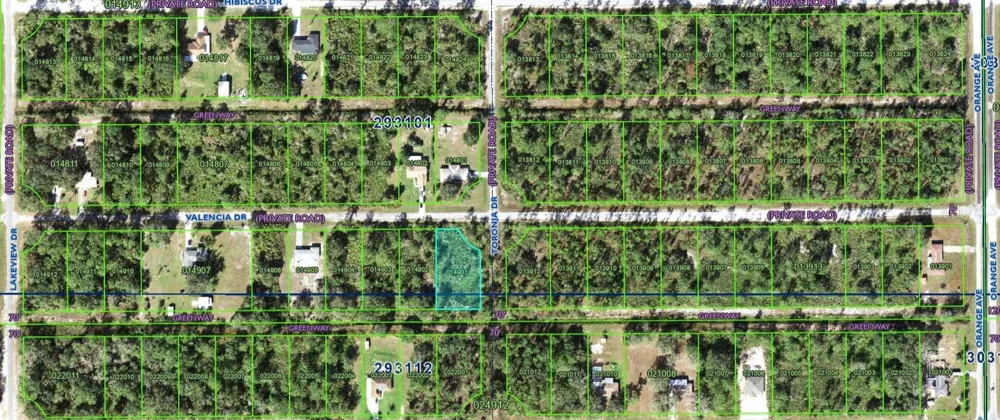 901 VALENCIA DRIVE Indian Lake Estates, FL 33855