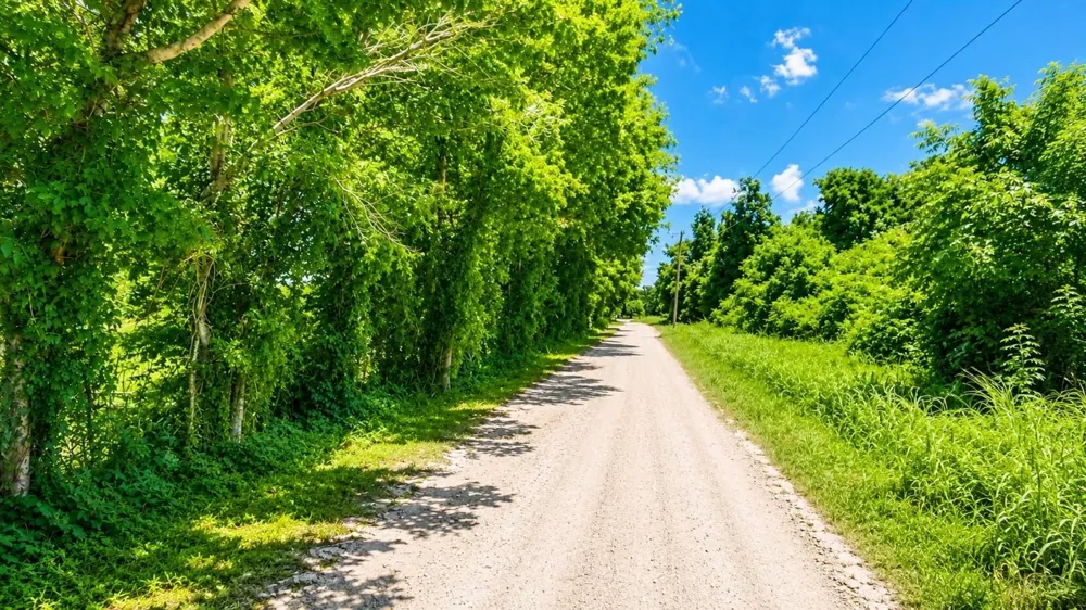Pryor Road Brookshire, TX 77423