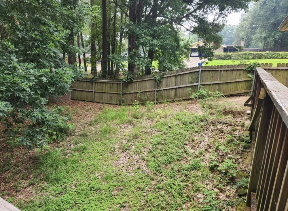 909 Hinton Street Minden, LA 71055