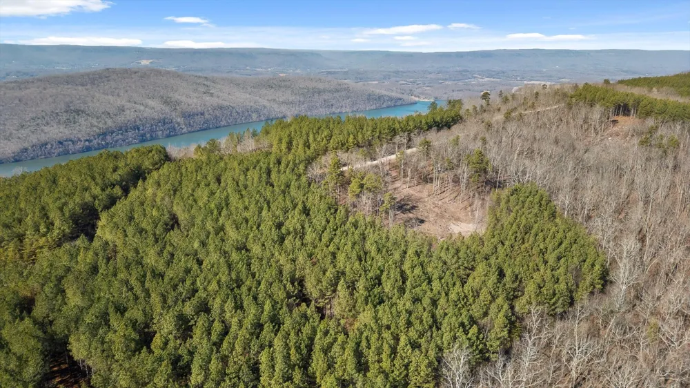 0 Wildlife Way Guild, TN 37340