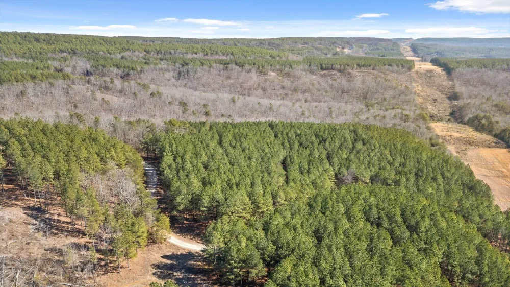 0 Wildlife Way Guild, TN 37340