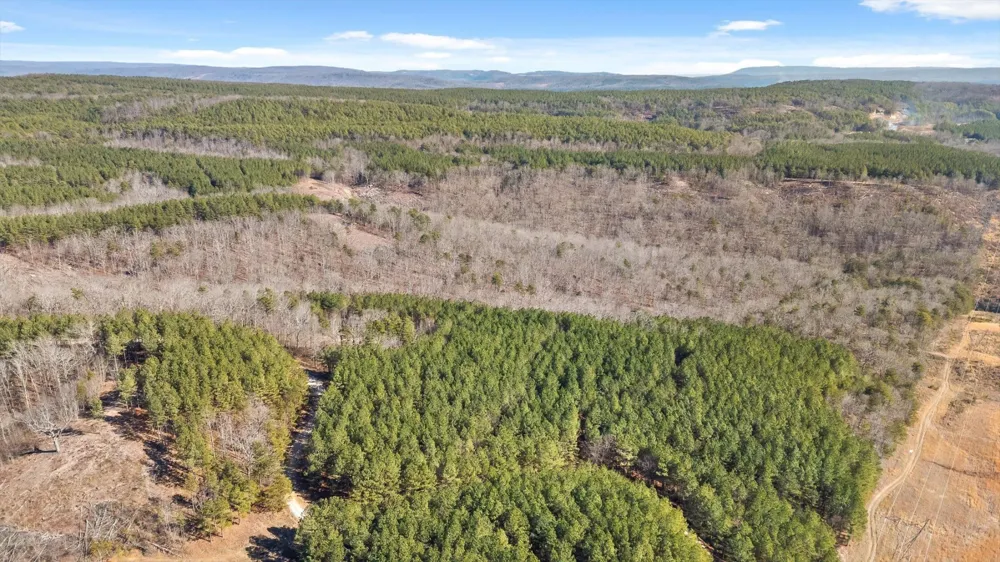 0 Wildlife Way Guild, TN 37340