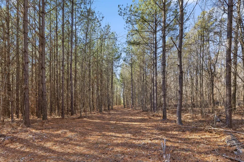 0 Wildlife Way Guild, TN 37340