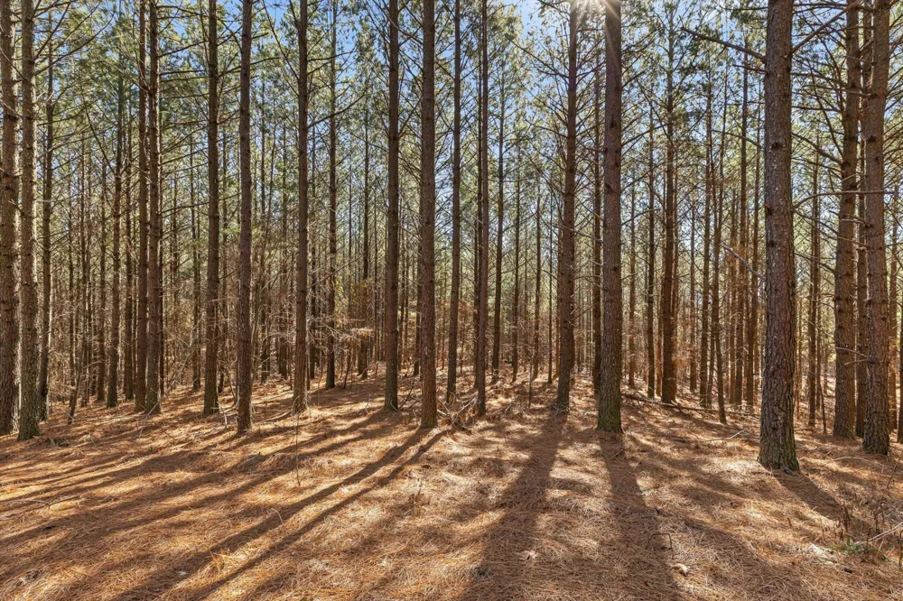 0 Wildlife Way Guild, TN 37340