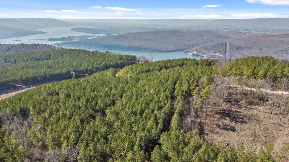 0 Wildlife Way Guild, TN 37340