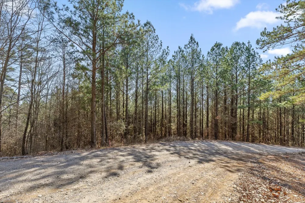 0 Wildlife Way Guild, TN 37340