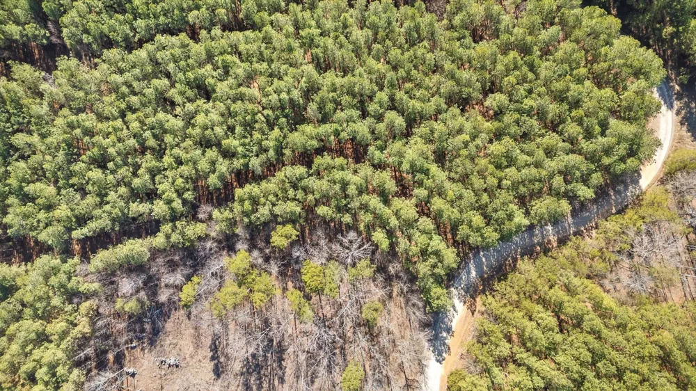 0 Wildlife Way Guild, TN 37340