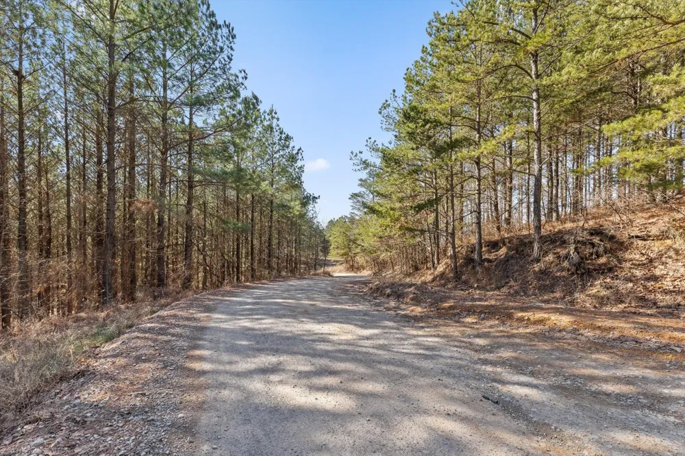 0 Wildlife Way Guild, TN 37340