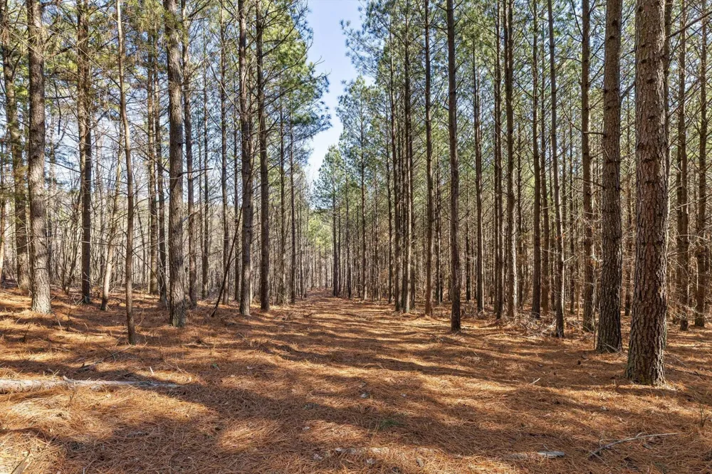 0 Wildlife Way Guild, TN 37340