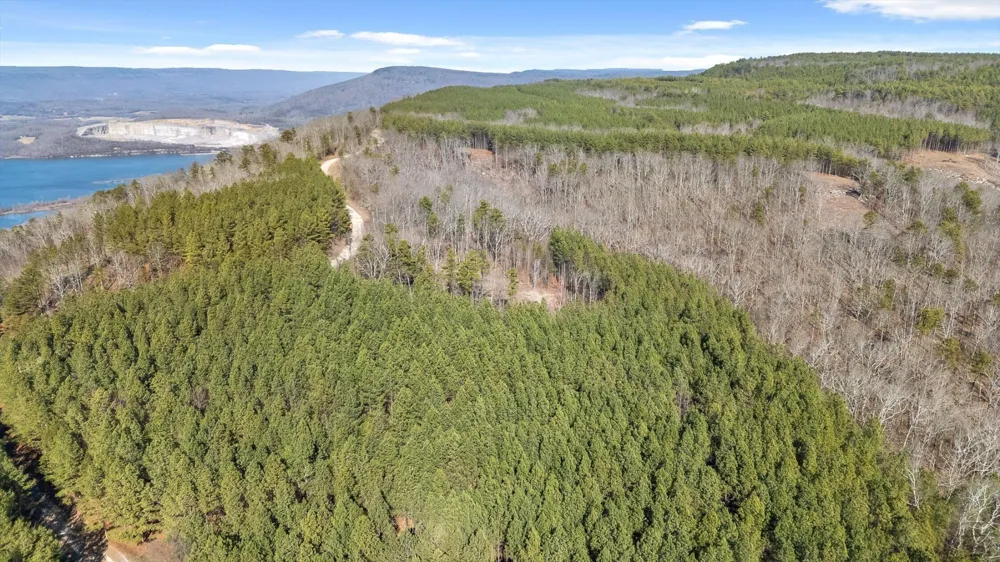 0 Wildlife Way Guild, TN 37340