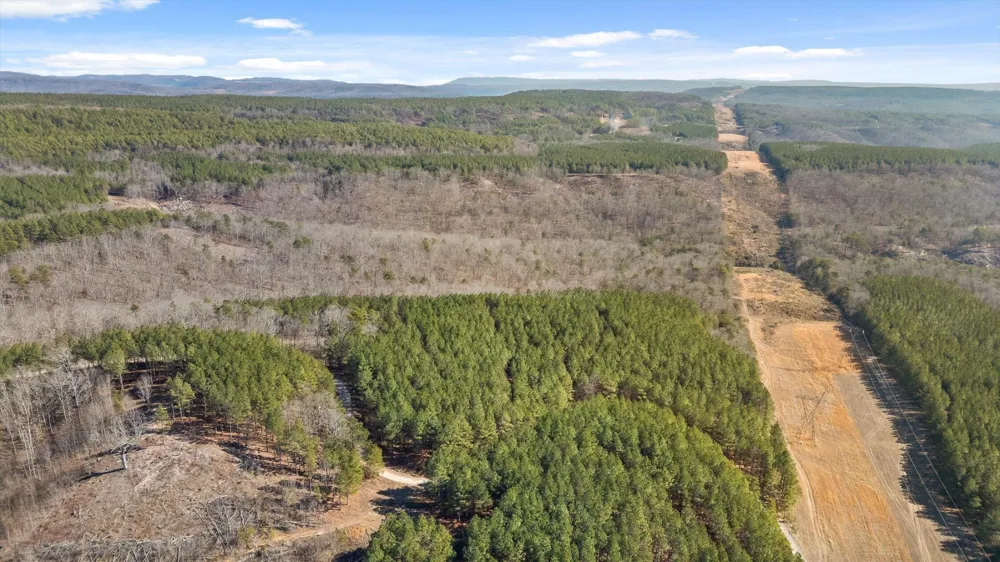 0 Wildlife Way Guild, TN 37340