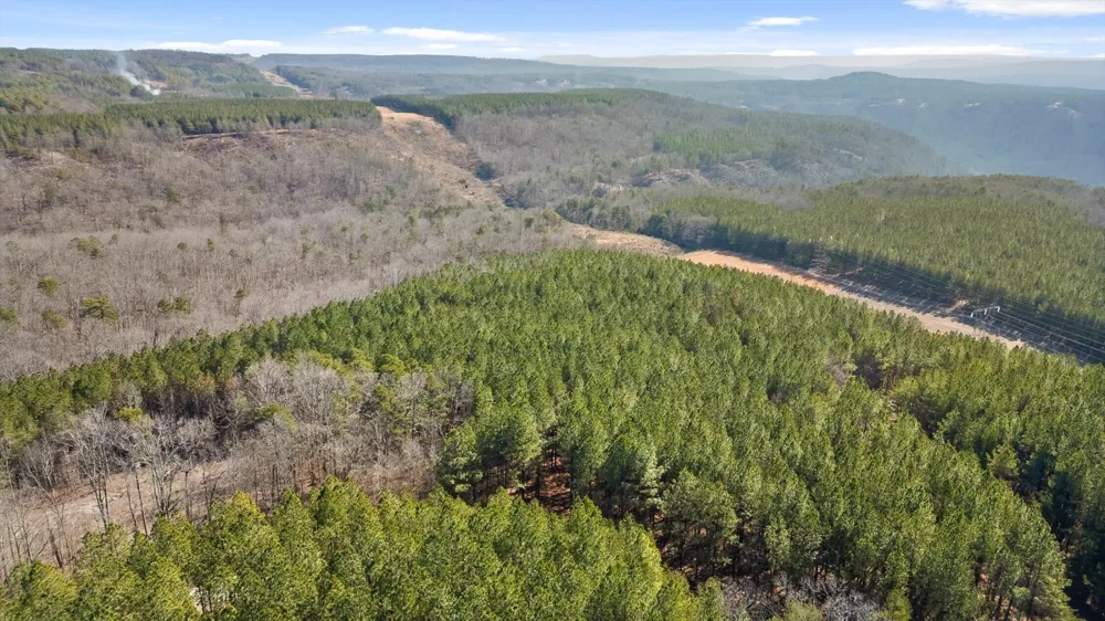 0 Wildlife Way Guild, TN 37340
