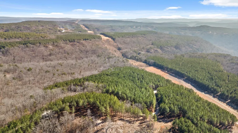 0 Wildlife Way Guild, TN 37340
