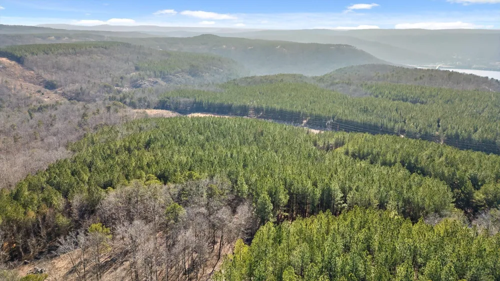 0 Wildlife Way Guild, TN 37340