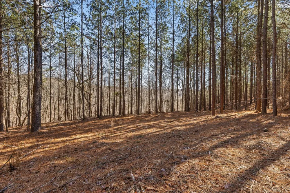 0 Wildlife Way Guild, TN 37340