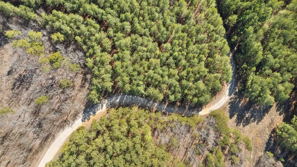 0 Wildlife Way Guild, TN 37340