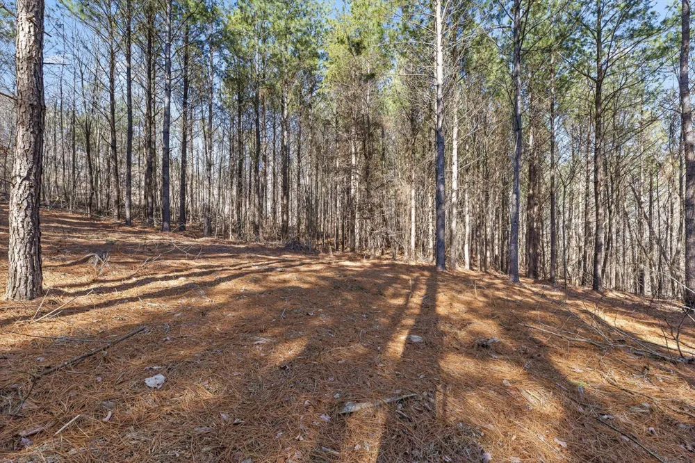 0 Wildlife Way Guild, TN 37340