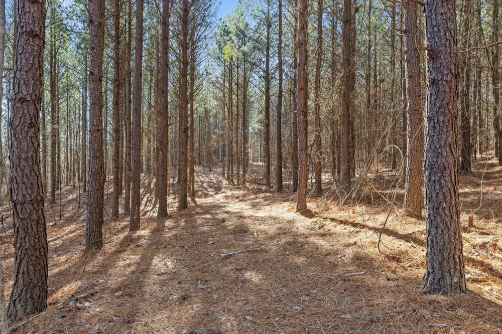 0 Wildlife Way Guild, TN 37340
