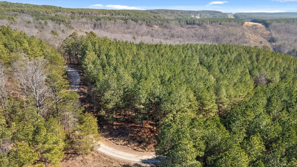 0 Wildlife Way Guild, TN 37340