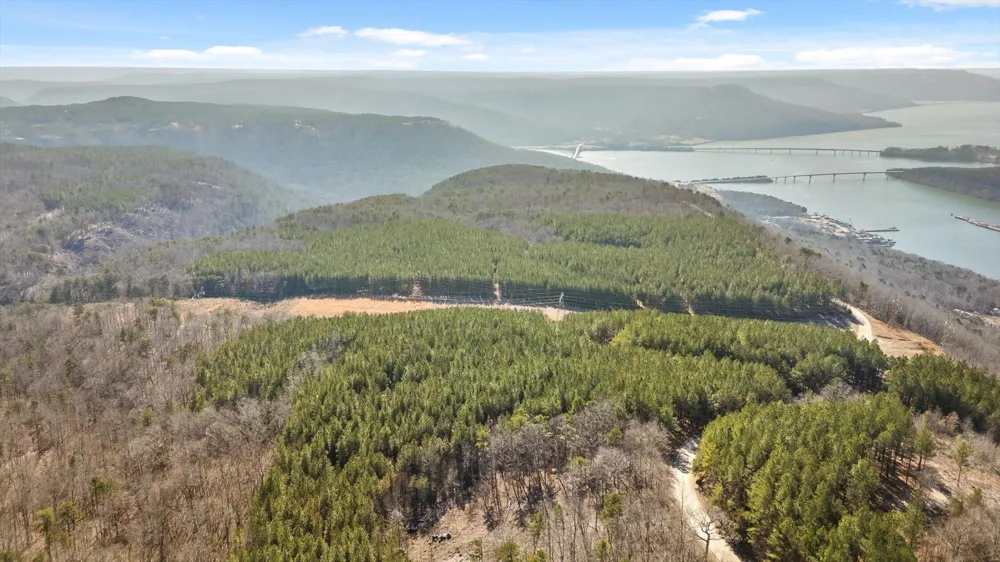 0 Wildlife Way Guild, TN 37340