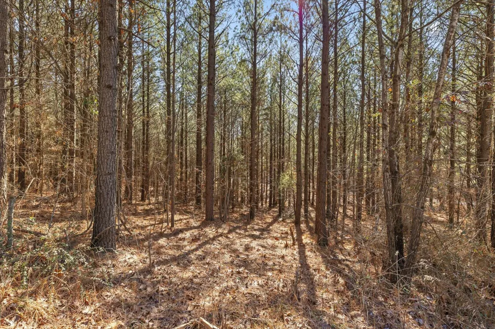0 Wildlife Way Guild, TN 37340