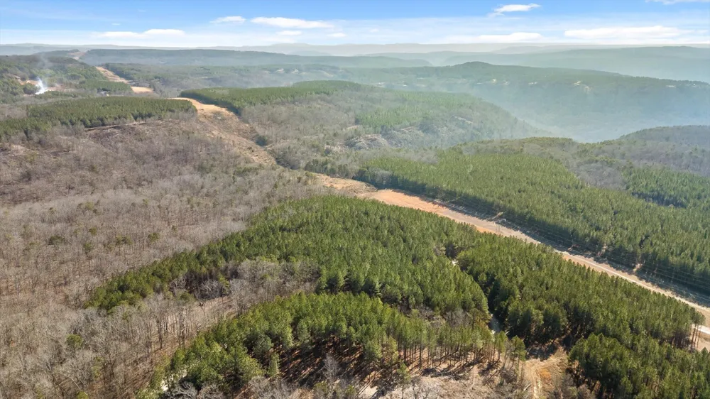 0 Wildlife Way Guild, TN 37340