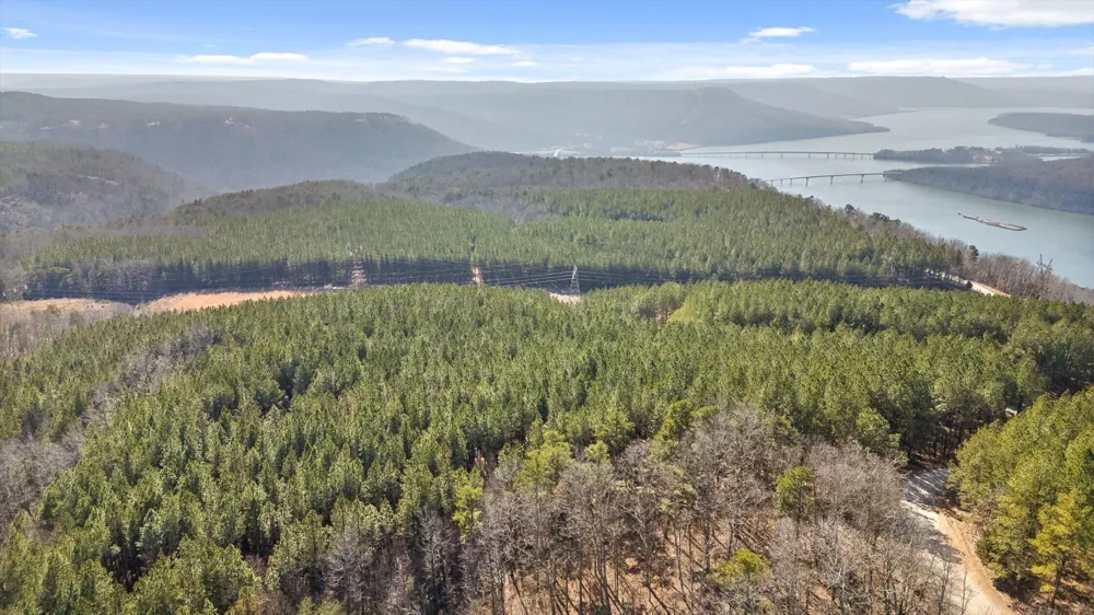 0 Wildlife Way Guild, TN 37340