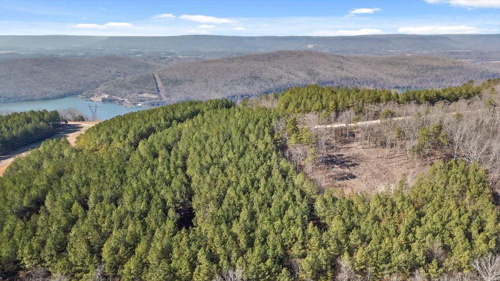 0 Wildlife Way Guild, TN 37340