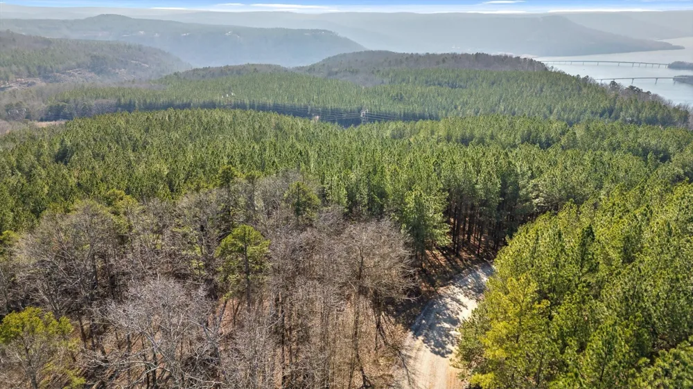 0 Wildlife Way Guild, TN 37340