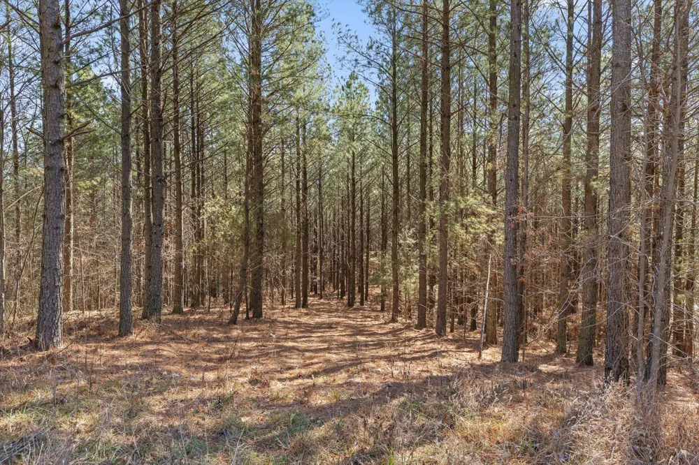 0 Wildlife Way Guild, TN 37340