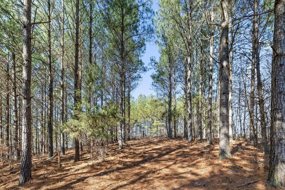 0 Wildlife Way Guild, TN 37340