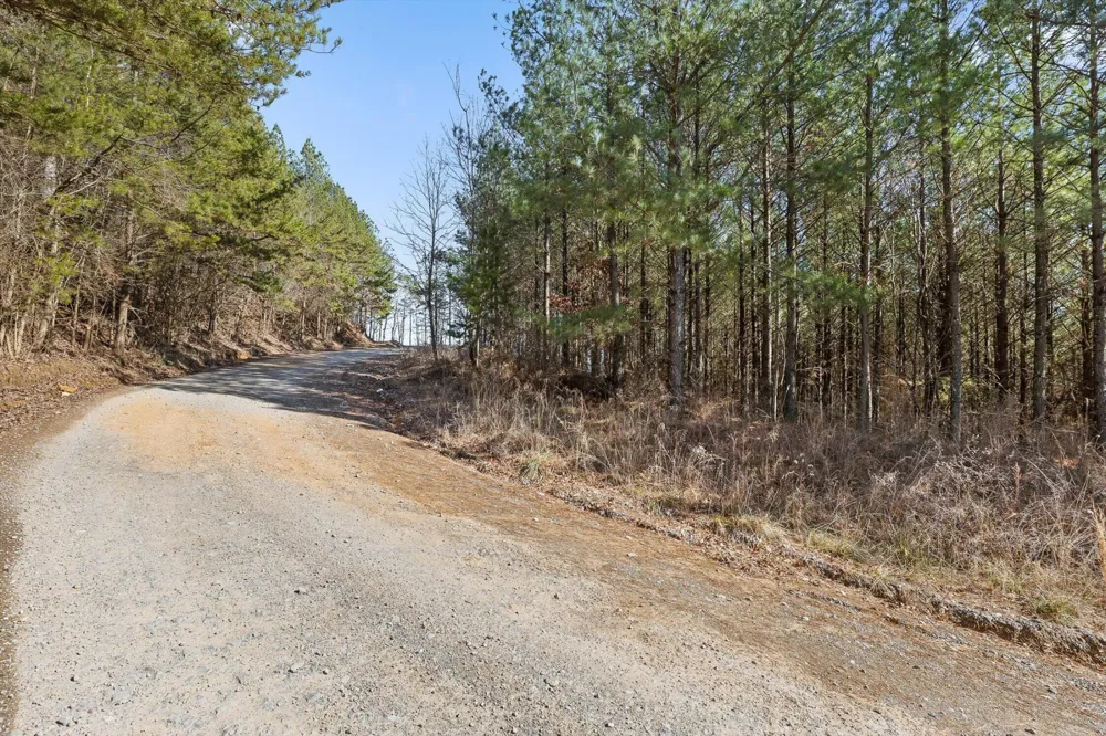0 Wildlife Way Guild, TN 37340